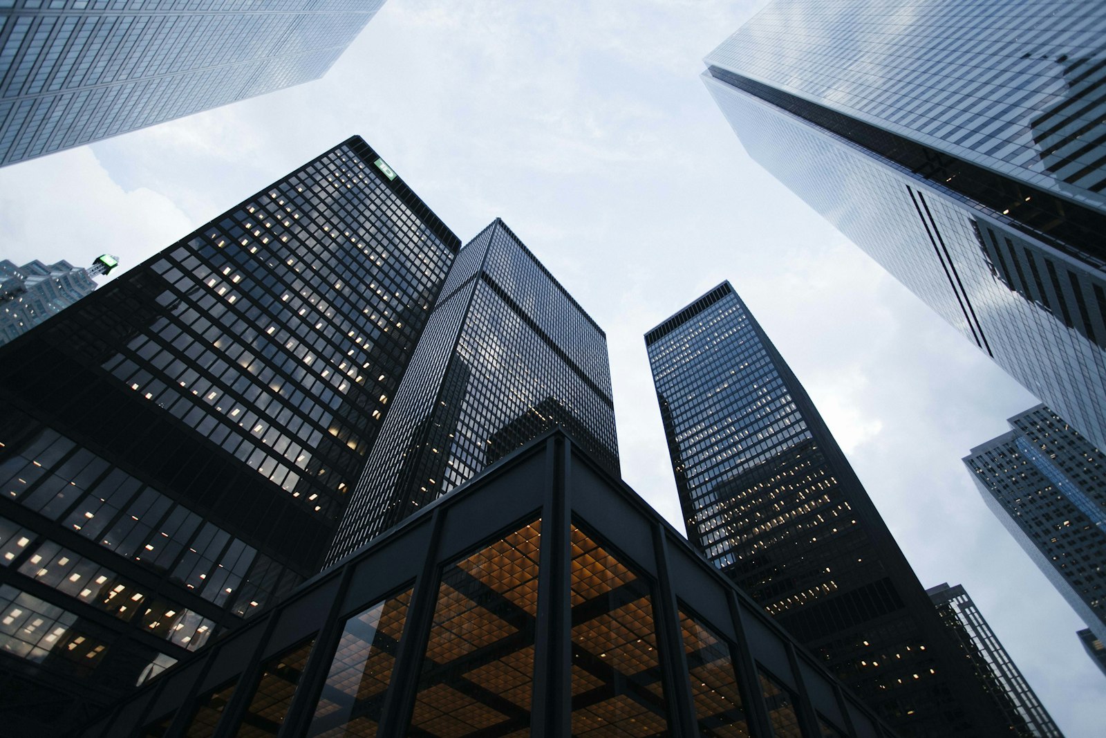 Corporate Digital Experience & Investor Portal